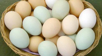 Какова калорийность яиц