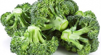 Characteristics of growing broccoli