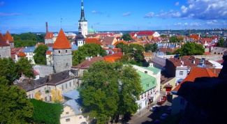 Сколько стоит виза в Эстонию и как быстро её сделать