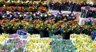 Как открыть цветочный магазин