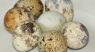 How to cook quail eggs 