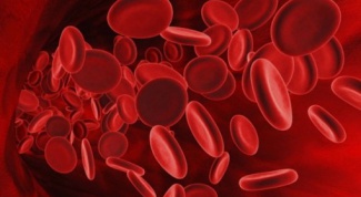 Отчего может повыситься количество лейкоцитов в крови 