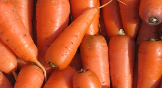 Как вырастить крупную морковь
