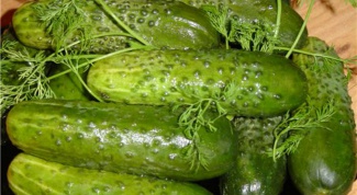 Freshly-salted cucumbers in a quick way