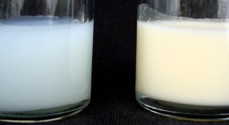Чем отличается молозиво от молока?