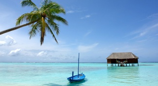 Отдых на Мальдивах - какой он?