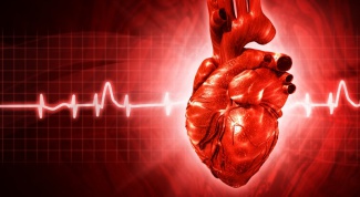 How to conduct daily monitoring of the heart