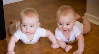 Как увеличить вероятность рождения двойни 