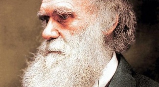 The Discoveries Of Charles Darwin