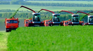 The main problems of agriculture in Russia