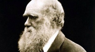 Значение теории Дарвина для человечества