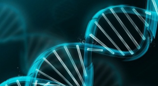 What is reduplication of DNA