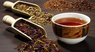 Индийские сорта чая: выбираем лучший