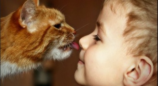 Как научить детей любить животных
