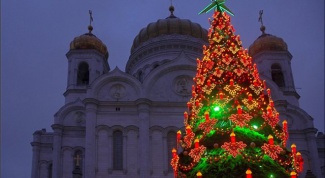 Где была установлена самая высокая новогодняя елка