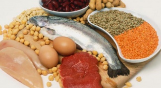 В каких продуктах питания содержатся аминокислоты
