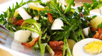 Салат нисуаз – классика французской кухни