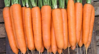 Как обработать семена моркови для хранения