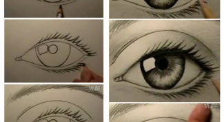 How to learn to draw well with a pencil