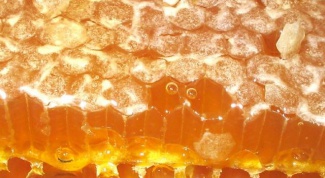 Can I eat honey comb with wax 