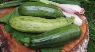 How to freeze zucchini and successfully lose weight at any time of the year