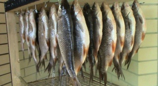 How to make a drying rack for fish 