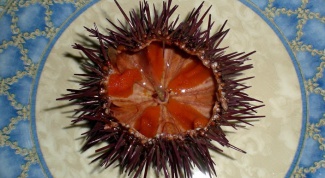 How to eat sea urchin