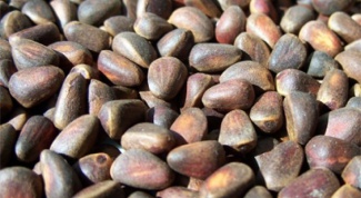 How to brew moonshine in the pine nuts