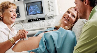 На каком сроке делают второе УЗИ при беременности 