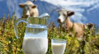 What is the fat natural cow's milk