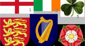 Каковы национальные эмблемы Англии и Ирландии