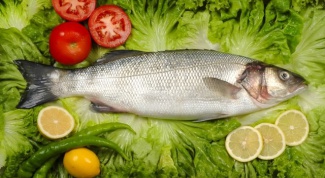 Which fish is the most low-calorie