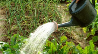 How to water vegetables in the garden