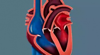 Как работают клапаны сердца