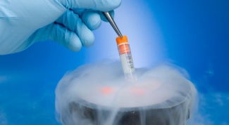Как долго хранятся эмбрионы для ЭКО