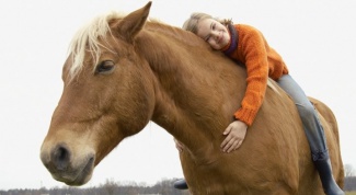 Как лечить лошадьми