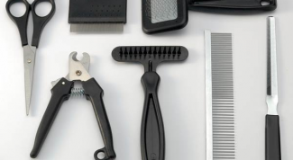 What tools are needed groomer