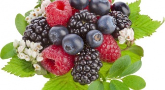 Any berries lose weight