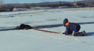 Как спасти провалившегося под лед