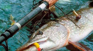 What gear you need for catching of a pike