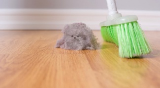 Чем опасна домашняя пыль и как от нее избавиться