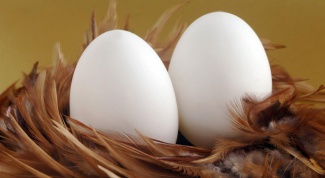 Яйца: польза или вред, как хранить