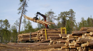 Как перерабатывают древесину