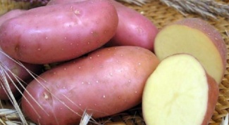 What better to plant potatoes: sliced or whole