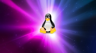 Почему символом операционной системы Linux является пингвин