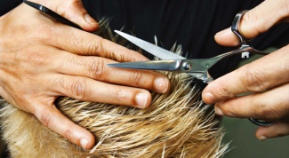 How often to cut hair to grow faster