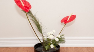 How to make a flower arrangement with your own hands 