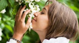 Какие есть цветы с сильным запахом
