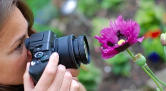 Как выбирать фотоаппарат: советы и рекомендации 
