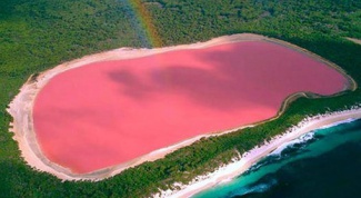 Где расположено озеро, вода в котором розового цвета